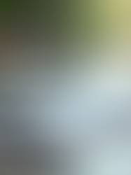 Cách Tạo Mẫu CV Chuyên Nghiệp