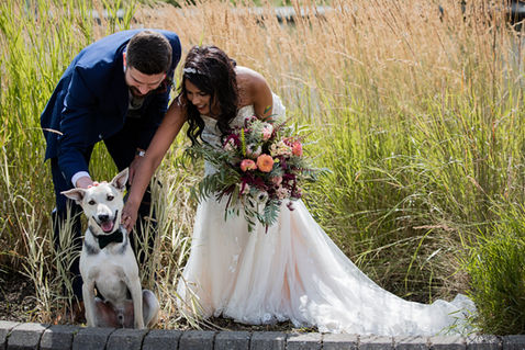 Bride and groom with dog at Wylam Brewery