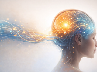 neurofeedback dynamique système nerveux cerveau alexandrine boileau