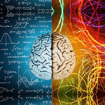 Neuroplasticité : et si le cerveau pouvait évoluer tout au long de la vie ?