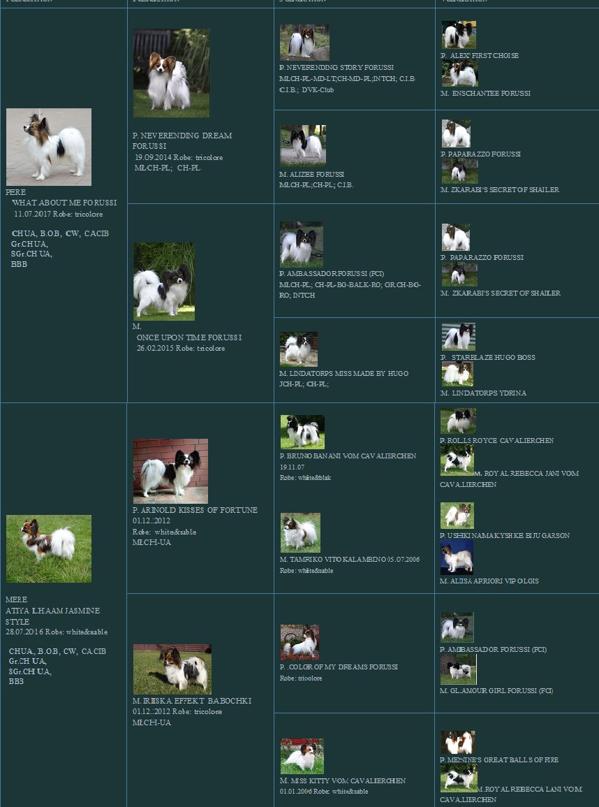 РОДОСЛОВНАЯ ТОМА.jpg