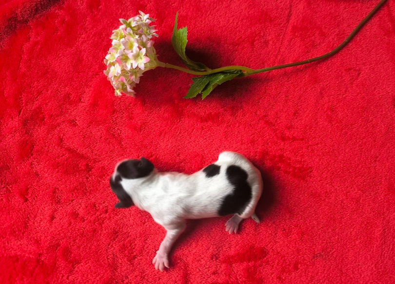 1000042671.jpg_edited