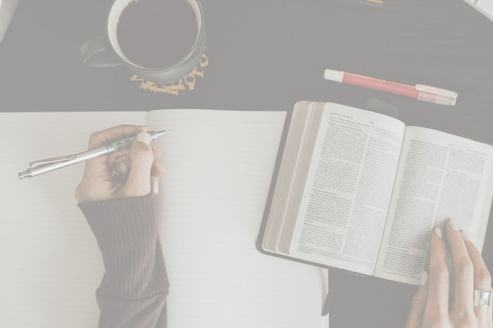 How to Read Your Bible
