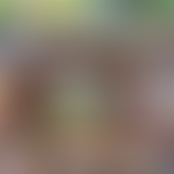 יום כיף בעין חמד ואבו גוש