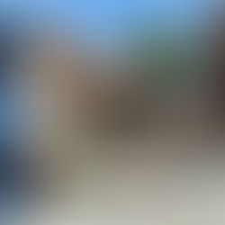 טיול לסלוניקי והסביבה