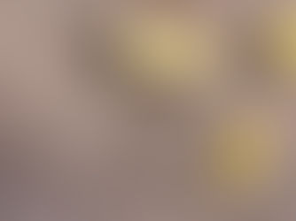 All You Need To Know About Phenolic Resin