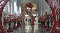 Year of the Dragon display 2024