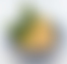 Annual Holiday Baking