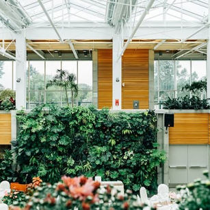 Design biofílico: Pintar para se ligar à natureza