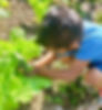 2209FE18-2778-4FD9-ABB6-5DF75A160E05_1_201_a.jpeg