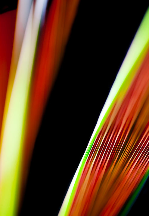 Garden Glee | Gardening – The Growing Wellbeing Lifestyle | Photo Art | Cordyline | Plants | Australian Gardens  | Abstract Photography