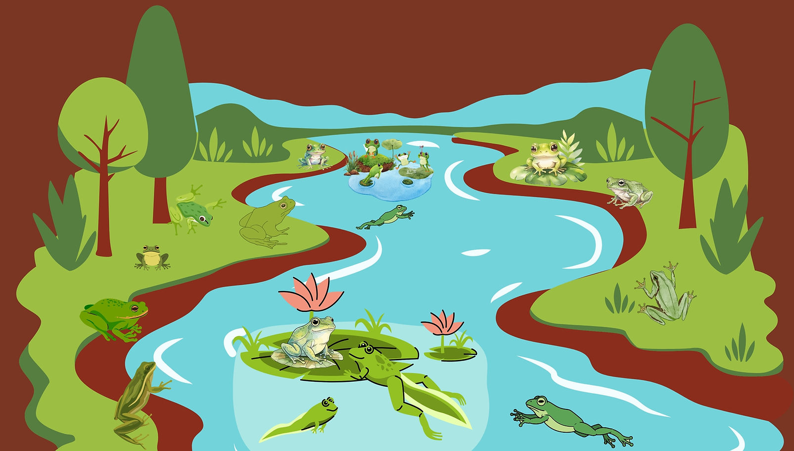Green Frogs | Breeding | Eco-friendly Environments | Moisture 