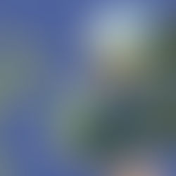 Diagnosing Institutional Barriers in Marine Plastic Governance: Lessons from the Baltic and Mediterranean SEA Cases