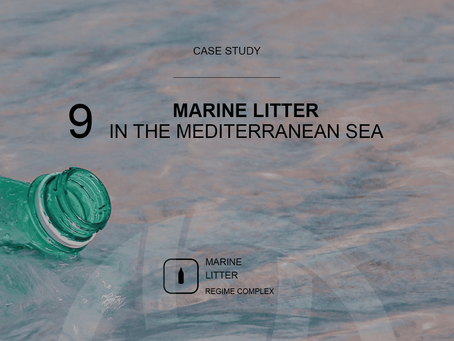Marine Litter In The Mediterranean Sea: An Introduction To Case Study 9
