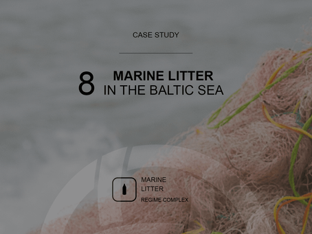 Marine Litter In The Baltic Sea: An Introduction To Case Study 8