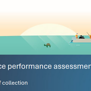 Marine Governance Performance Assessment in PERMAGOV Case Studies