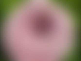 Selbst gefärbt, selbst gewickelt,....und nun?