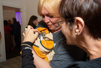 Kitty Cuddle Party 2023