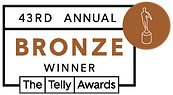 Winners_Badges_bronze_winner.png