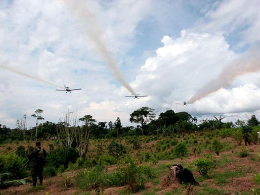 Opinión: Glifosato para todos, la estrategia del Gobierno en medio de la pandemia por Coronavirus