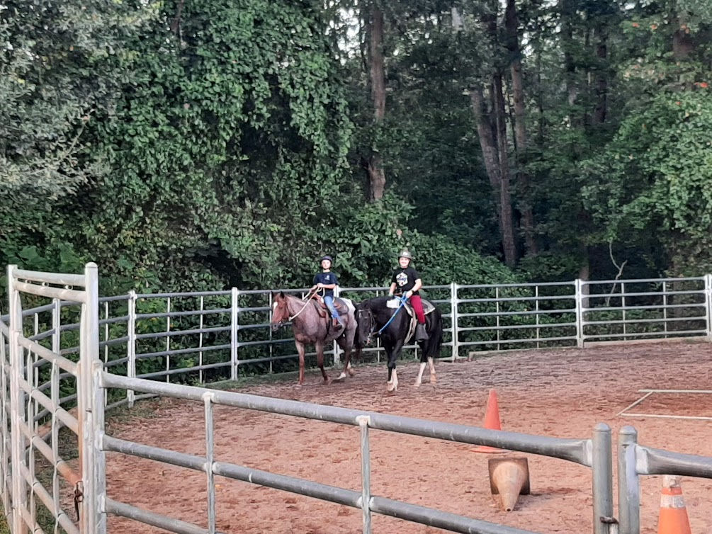 4 pack of class/ training group lessons