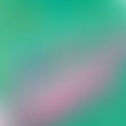 Review of Accidentally Engaged