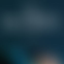 Review of The New Mother