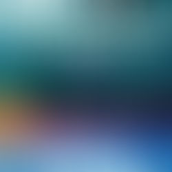 Review of Bad Tourists