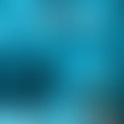 Review of The Ever After