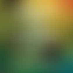 Review of Under the Palms