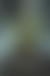 Review of The Other Mrs.