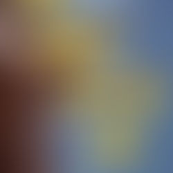 Review of You Can't Catch Me