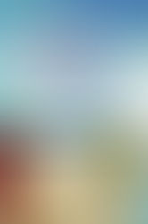 Review of The Bookstore on the Beach