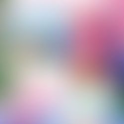 Review of Writing Mr. Wrong