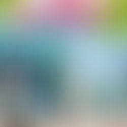 Review of Battle of the Bookstores