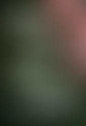 Review of When We Were Worthy