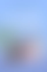 Review of When Grumpy Met Sunshine