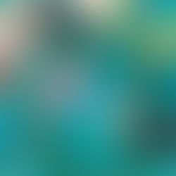 Review of Summer Cannibals