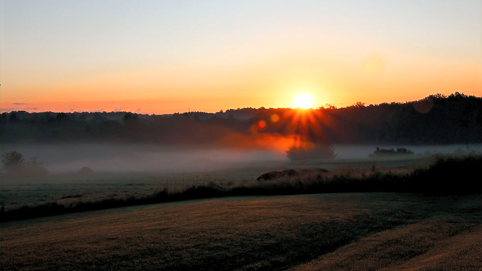 Wide angle view of a serene lake surrounded by trees