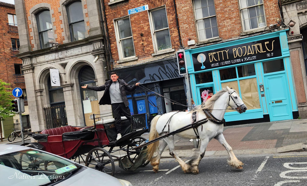 Gypsie in Dublin Ireland standing in a horse drawn carriage along the streets of the city