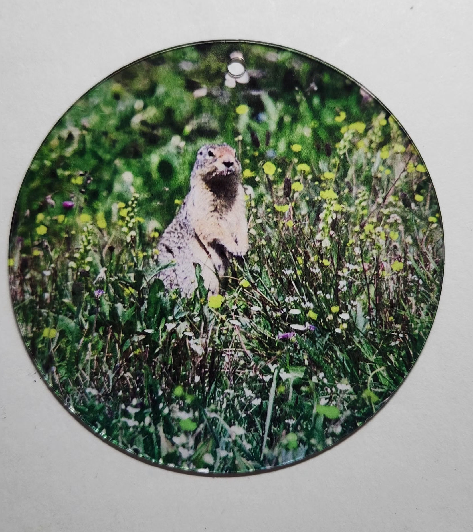 Ground hog suncatcher