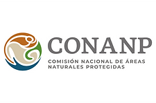 conanp.png