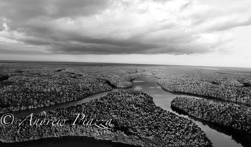 Screen Shot 2019-03-16 at 7.18.29 PM.jpg