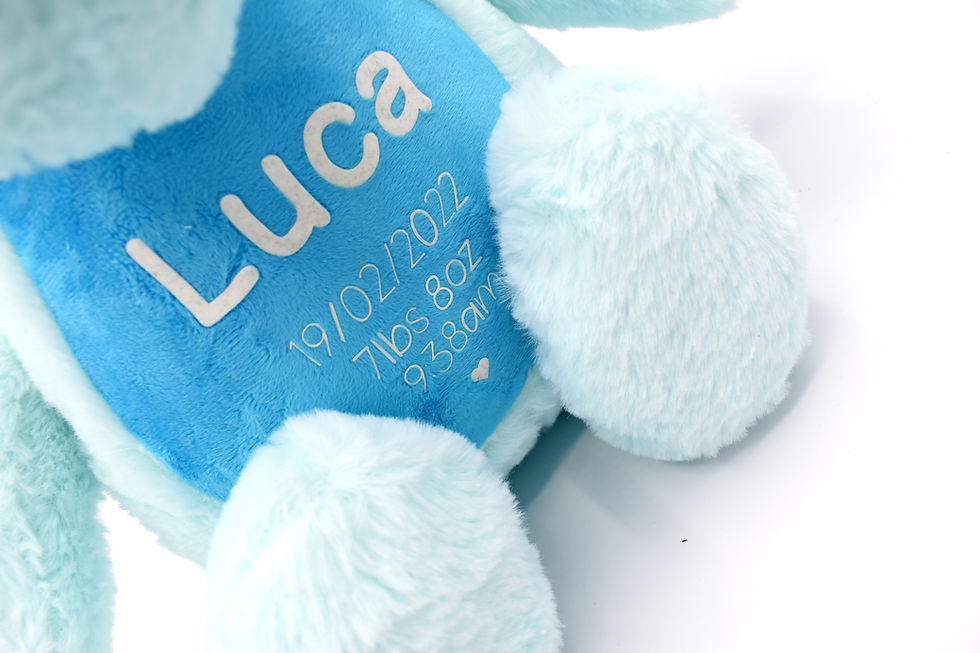Thumbnail: Personalised Dinosaur teddy