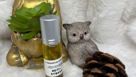 Jour 6 – Respirer, apaiser et voir plus clair