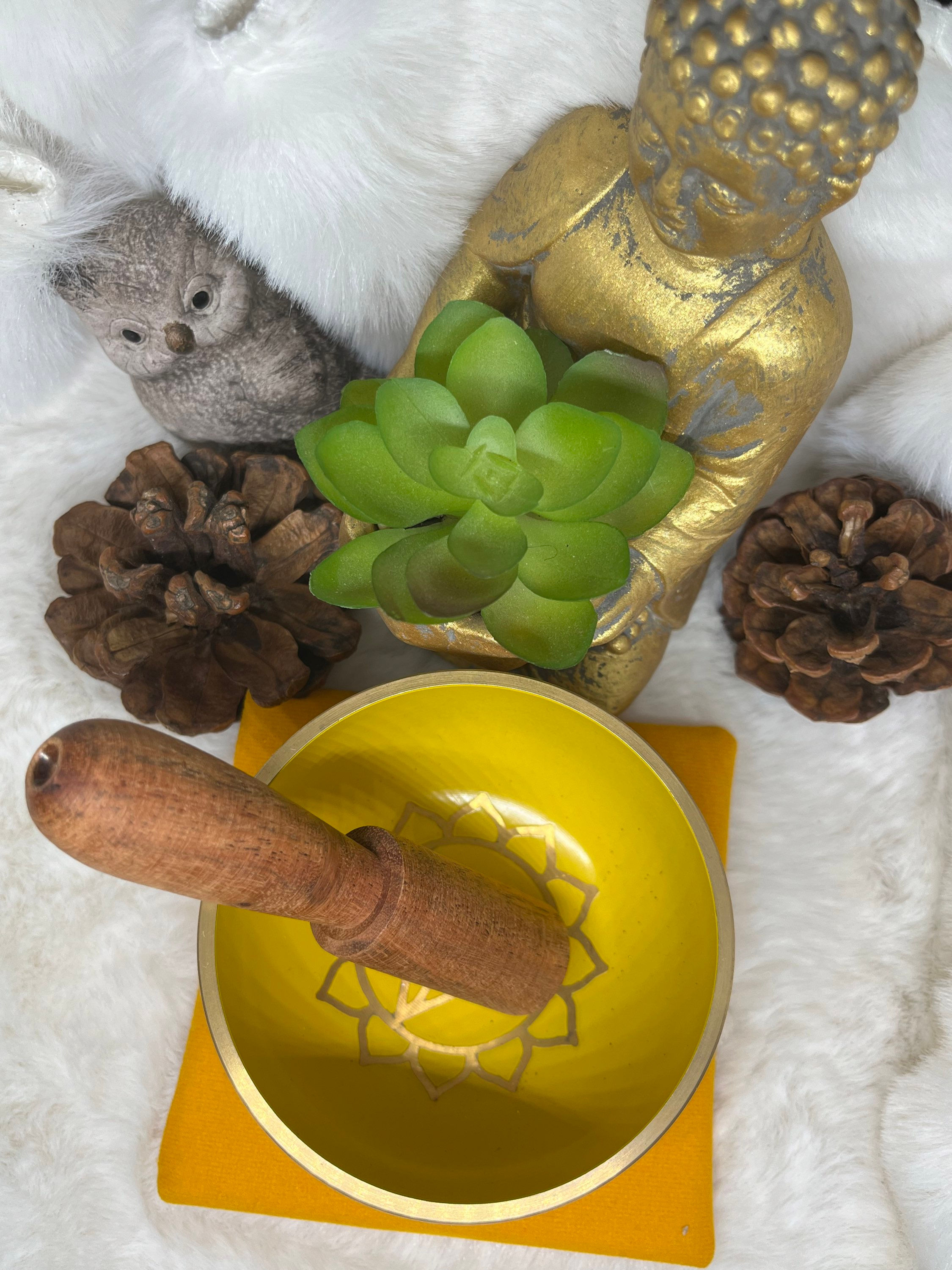 Bol tibétain Plexus Solaire