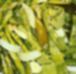 NOPALES EN VINAGRE