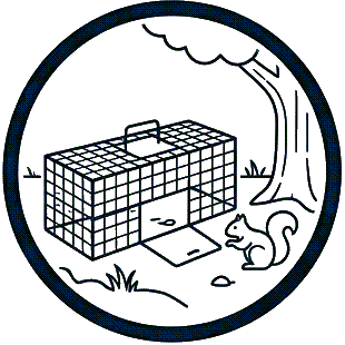 ICON_4.png