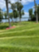 Nice_Lawn_003.jpg