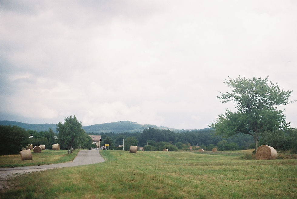 נופים מהדרך, קרואטיה.